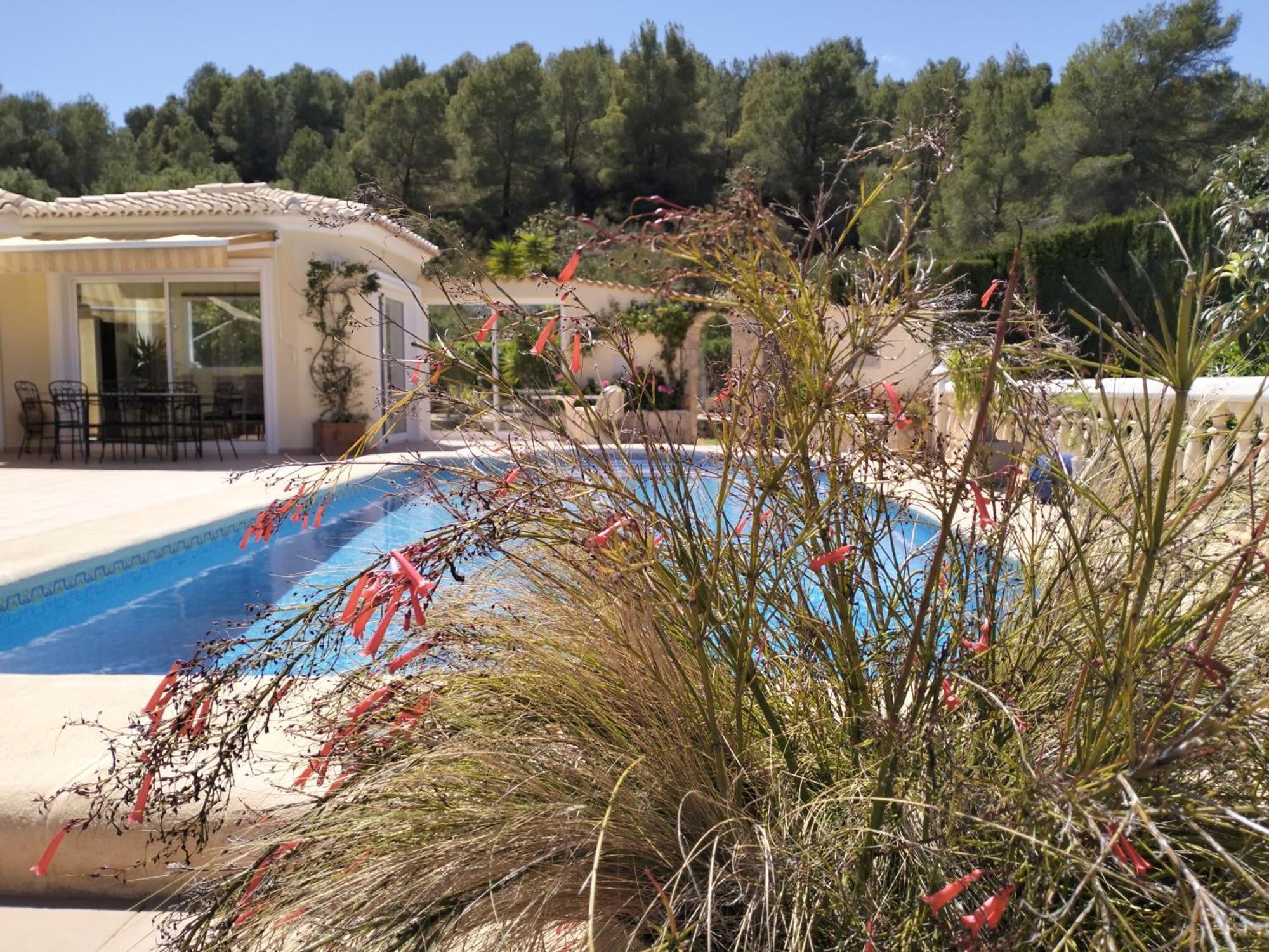 Villa Luxueuse דניה מראה חיצוני תמונה